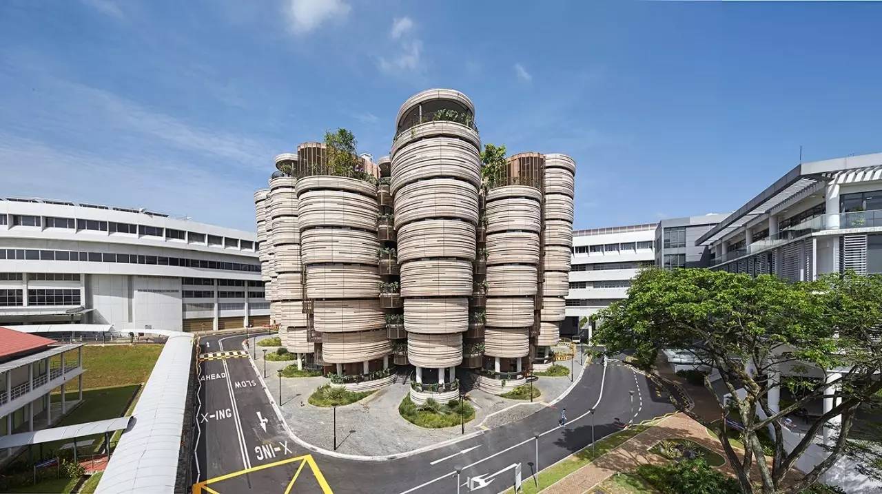 出国留学上高中新加坡需要哪些条件